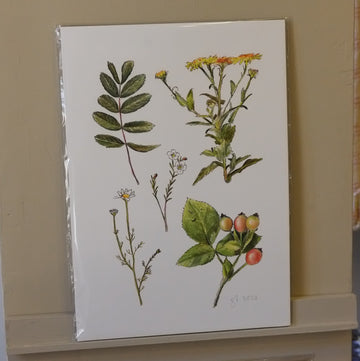 illustration with botanical design featuring leaves and flowers on a beige background
