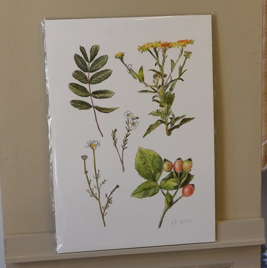 illustration with botanical design featuring leaves and flowers on a beige background