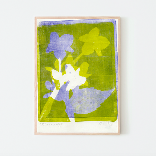 claire coles hellebore overlay
